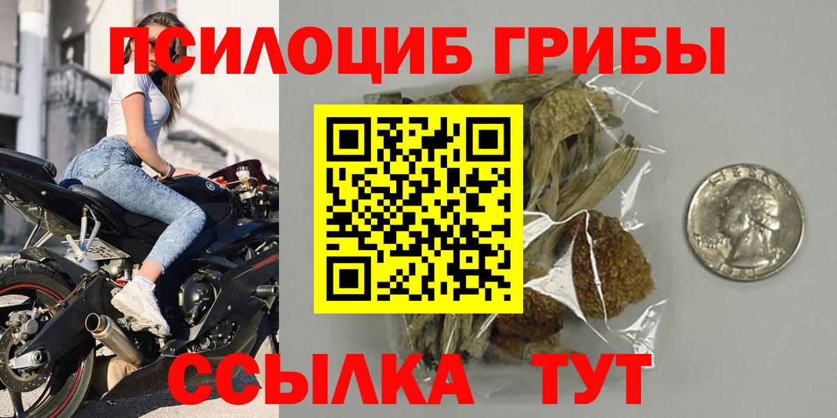 Галлюциногенные грибы GOLDEN TEACHER  Вход с VPN  Каменск-Уральский 